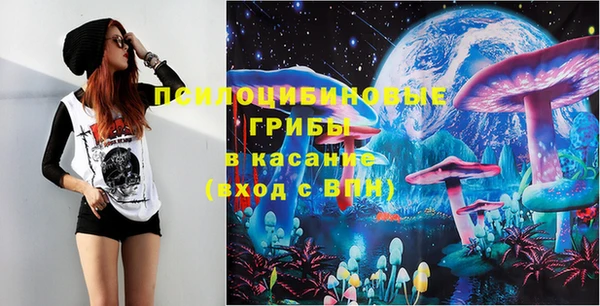 бошки Алексин