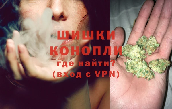 бошки Алексин