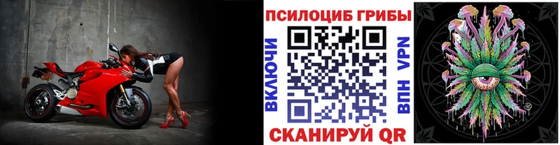 Псилоцибиновые грибы ЛСД  где можно купить   Кологрив 